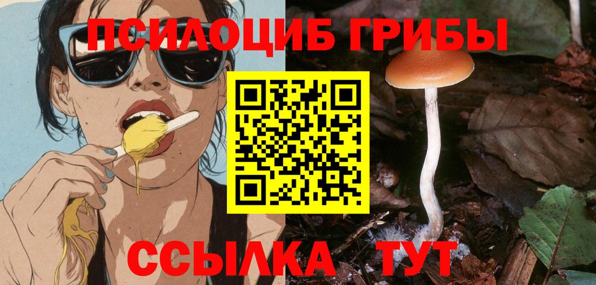 Галлюциногенные грибы Cubensis  Вход с VPN  Конаково 
